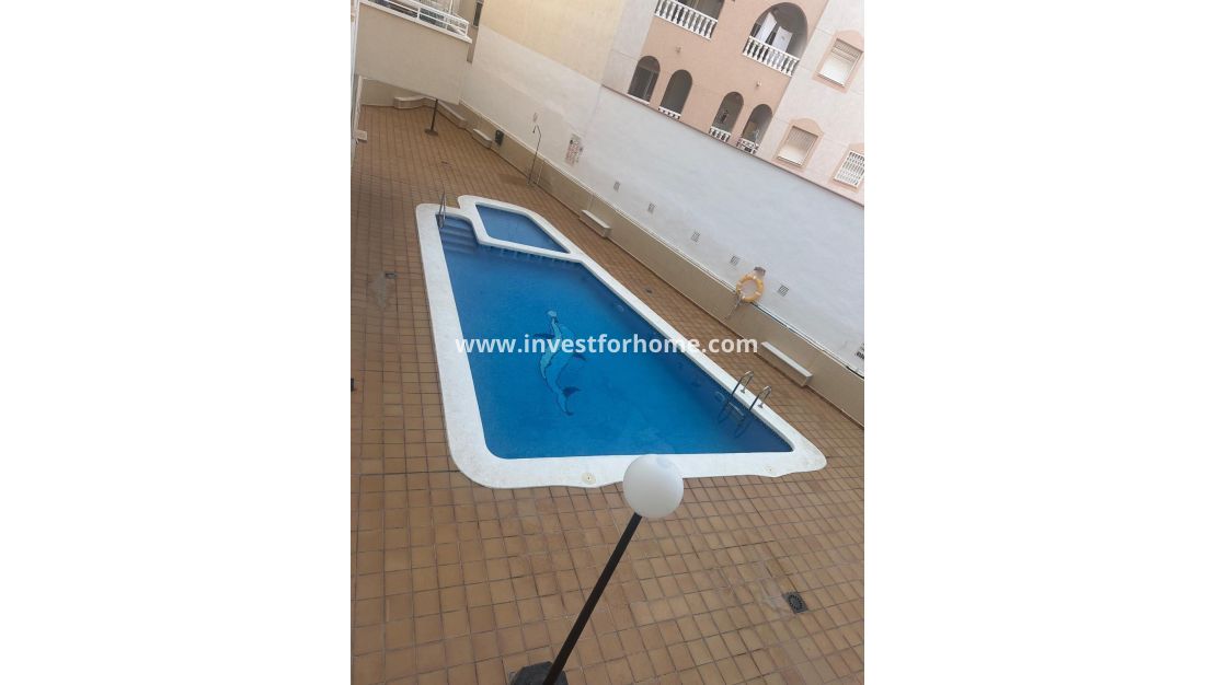 Verkoop - Appartement - Torrevieja - Estacion De Autobuses