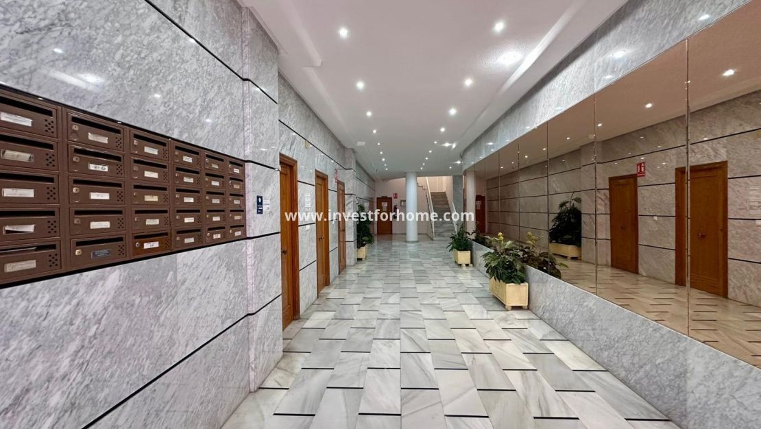 Verkoop - Appartement - Torrevieja - Estacion De Autobuses