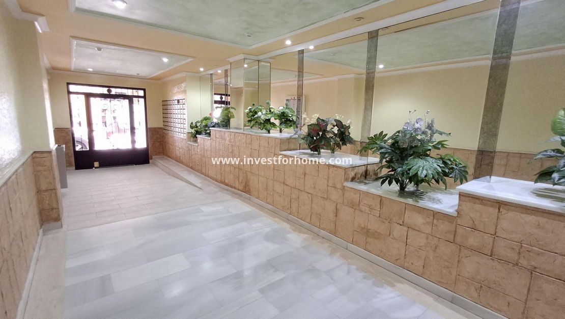 Verkoop - Appartement - Torrevieja - Estacion De Autobuses