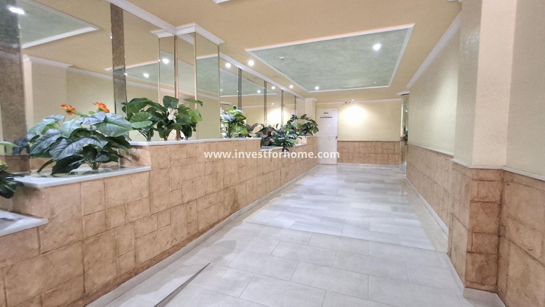 Verkoop - Appartement - Torrevieja - Estacion De Autobuses