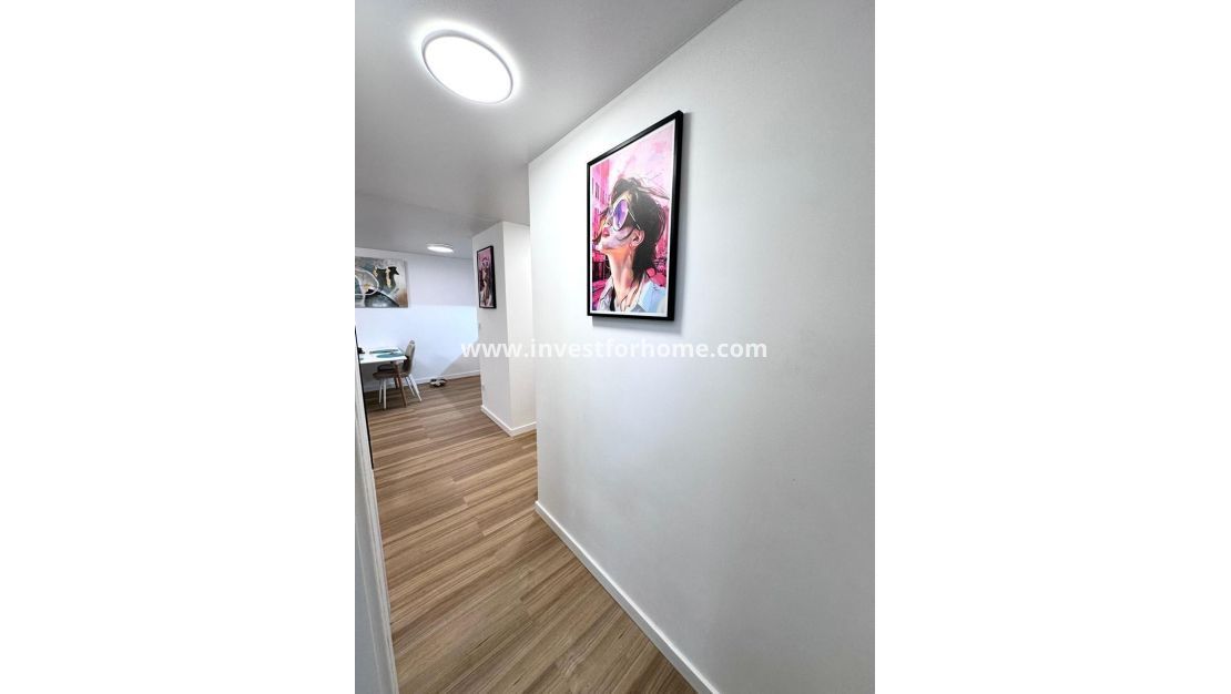 Verkoop - Appartement - Torrevieja - Estacion De Autobuses