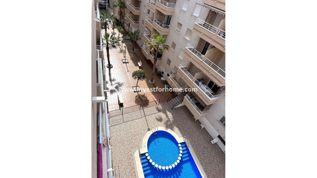 Verkoop - Appartement - Torrevieja - Estacion De Autobuses
