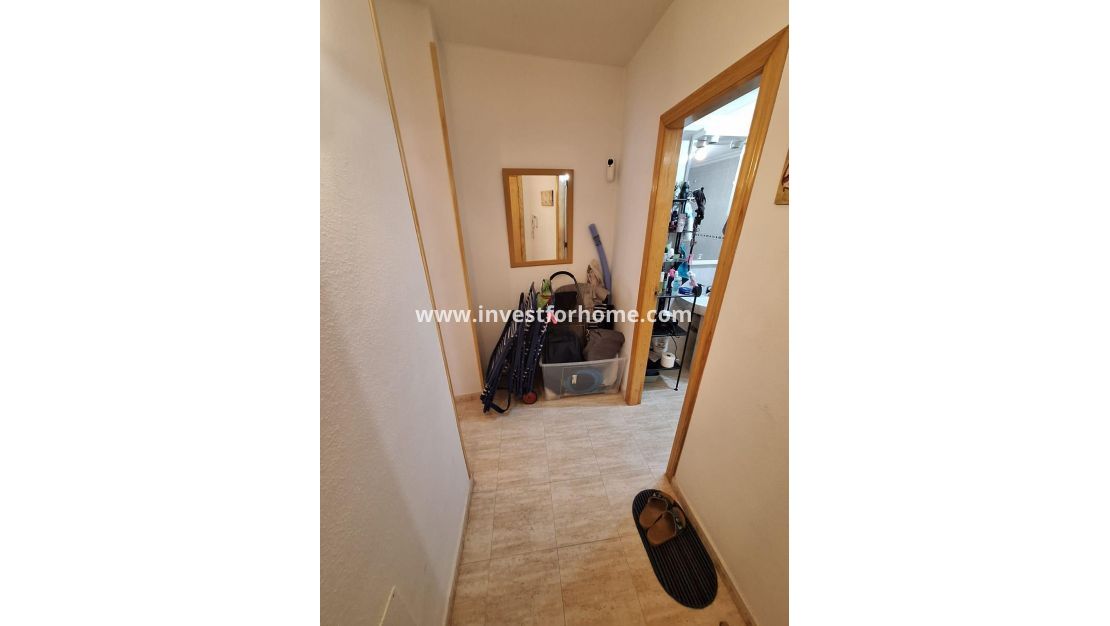 Verkoop - Appartement - Torrevieja - Estacion De Autobuses