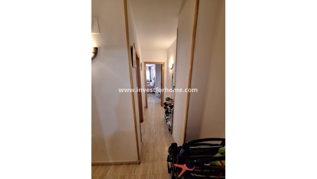 Verkoop - Appartement - Torrevieja - Estacion De Autobuses