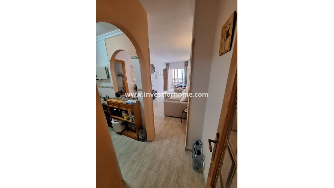 Verkoop - Appartement - Torrevieja - Estacion De Autobuses