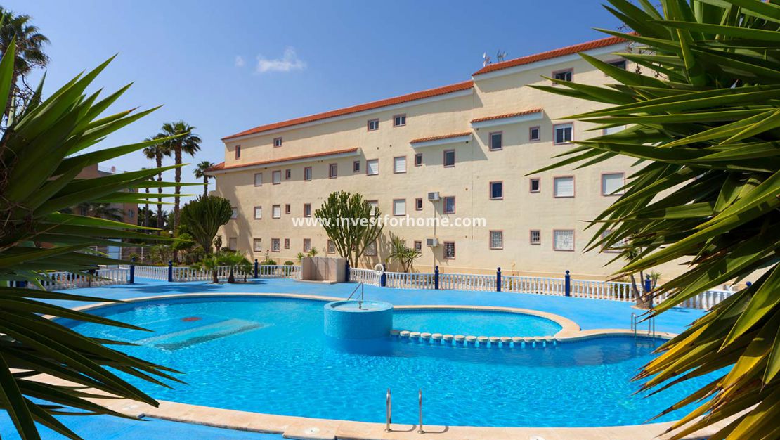 Verkoop - Appartement - Torrevieja - La Siesta-El Chaparral