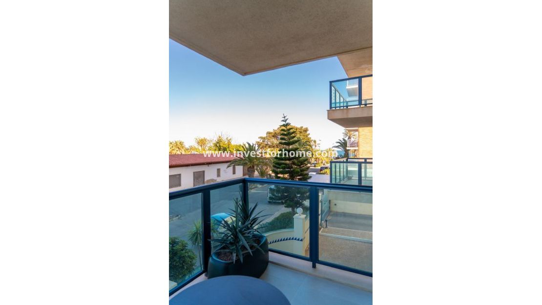 Verkoop - Appartement - Torrevieja - La Veleta