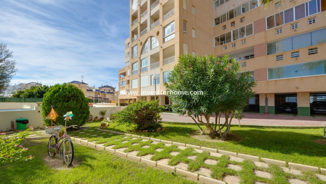 Verkoop - Appartement - Torrevieja - La Veleta