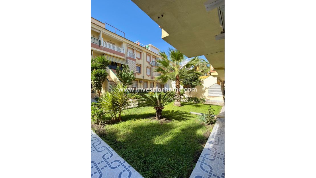 Verkoop - Appartement - Torrevieja - La veleta