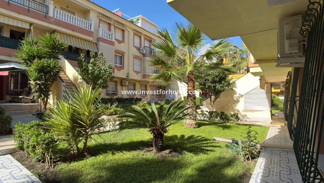 Verkoop - Appartement - Torrevieja - La veleta