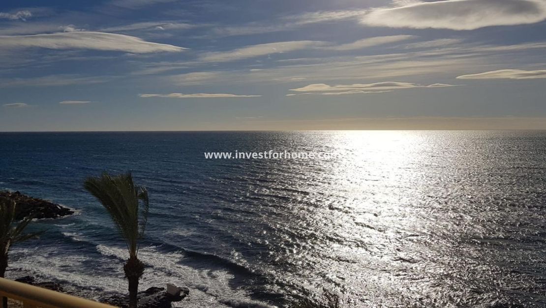 Verkoop - Appartement - Torrevieja - Las Piscinas Naturales