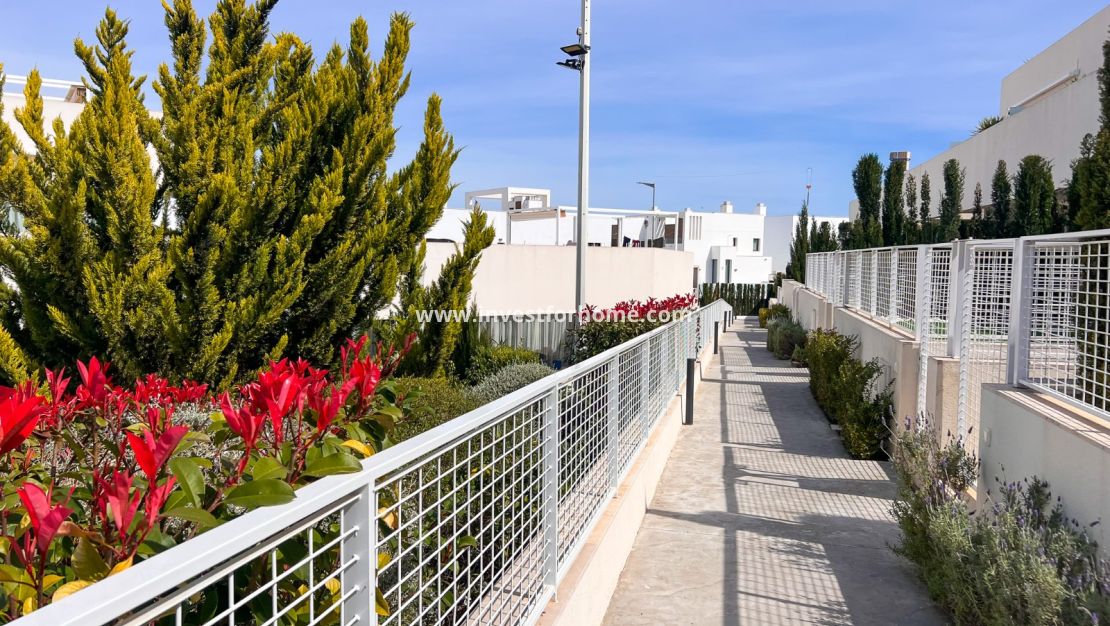 Verkoop - Appartement - Torrevieja - Los Balcones