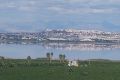 Verkoop - Appartement - Torrevieja - Los Balcones