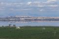 Verkoop - Appartement - Torrevieja - Los Balcones
