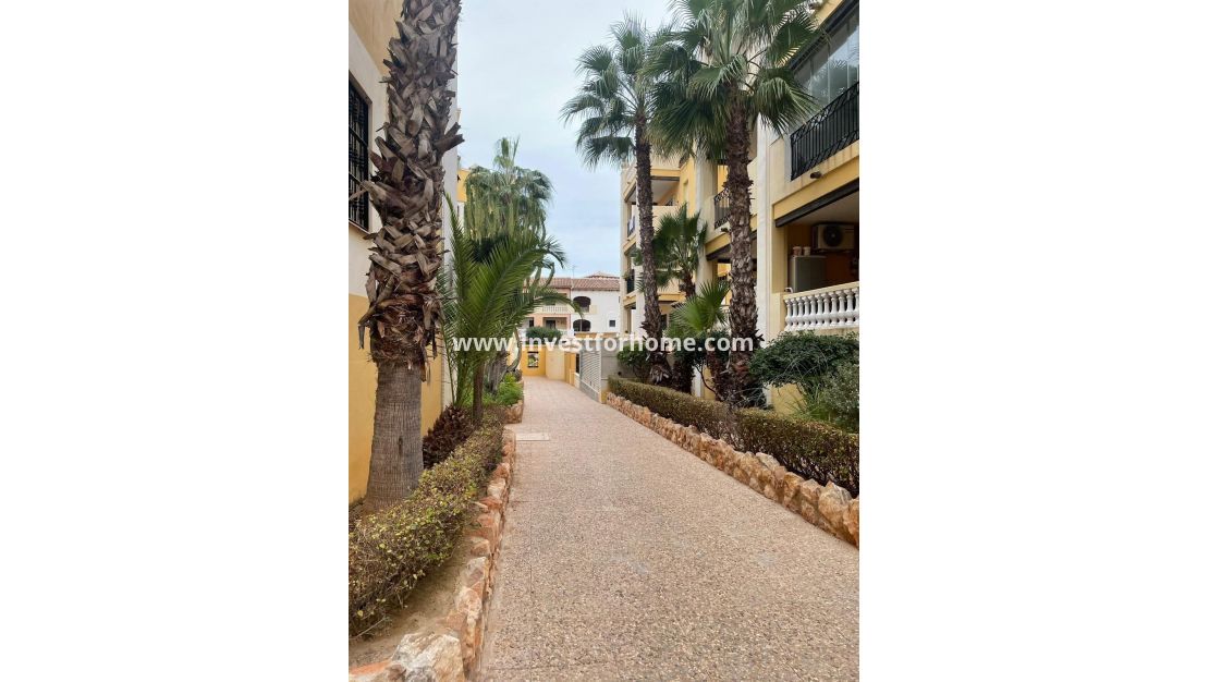 Verkoop - Appartement - Torrevieja - Nueva Torrevieja - Aguas Nuevas