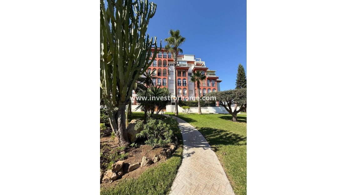 Verkoop - Appartement - Torrevieja - Nueva Torrevieja - Aguas Nuevas