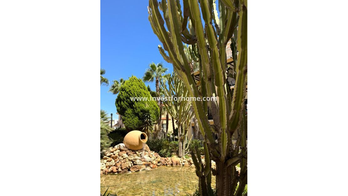 Verkoop - Appartement - Torrevieja - Nueva Torrevieja - Aguas Nuevas