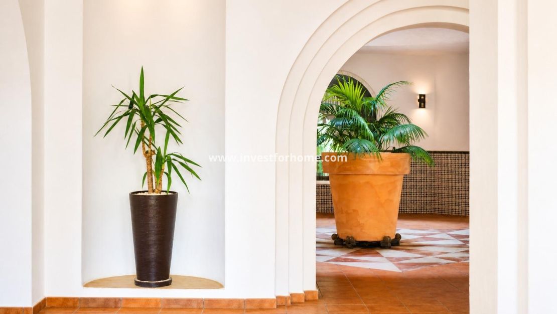 Verkoop - Appartement - Torrevieja - Nueva Torrevieja - Aguas Nuevas