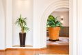 Verkoop - Appartement - Torrevieja - Nueva Torrevieja - Aguas Nuevas