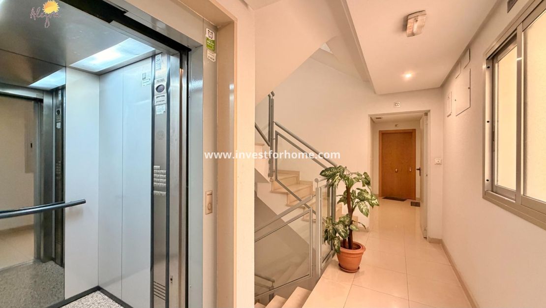Verkoop - Appartement - Torrevieja - PARQUE DE LAS NACIONES