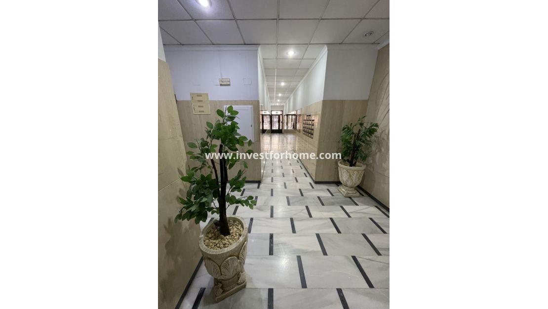 Verkoop - Appartement - Torrevieja - Playa de cura