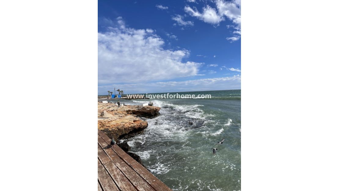 Verkoop - Appartement - Torrevieja - Playa de cura