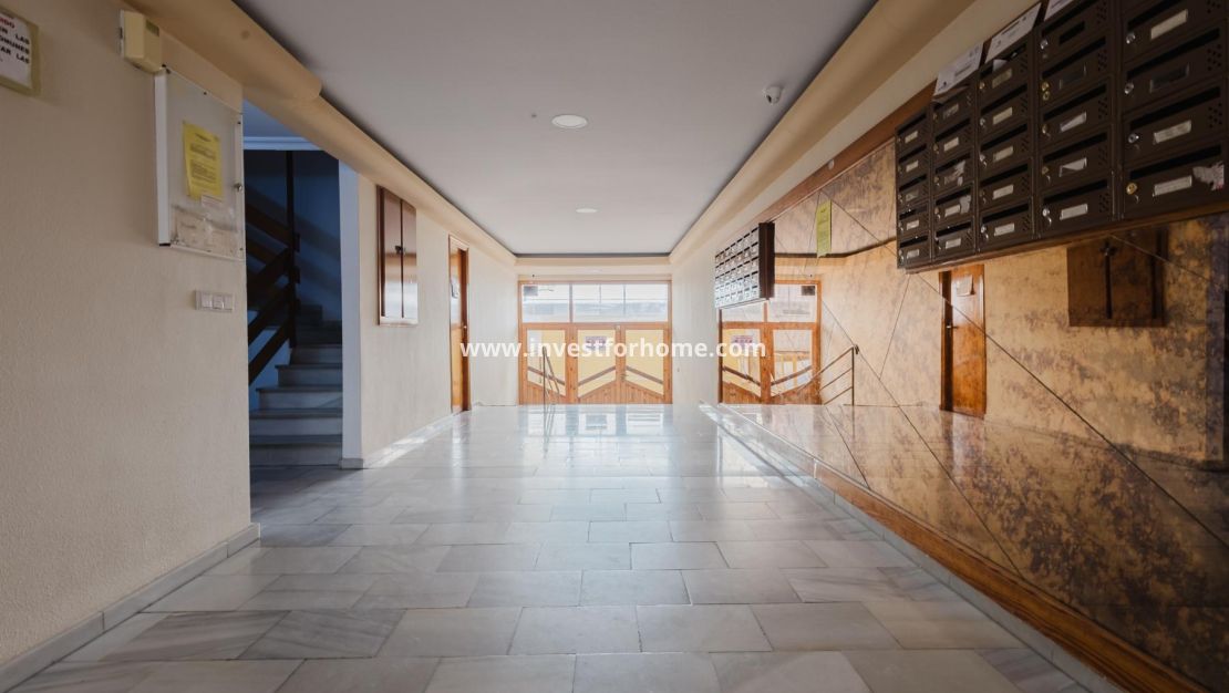 Verkoop - Appartement - Torrevieja - Playa de La Acequion