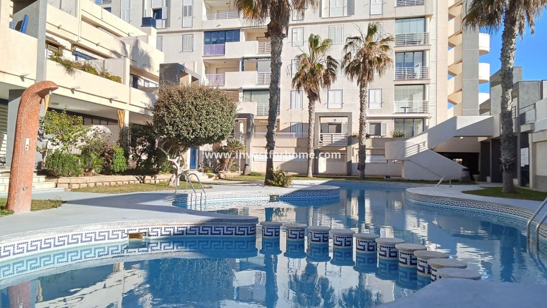 Verkoop - Appartement - Torrevieja - Playa De La Mata