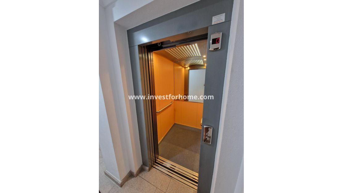 Verkoop - Appartement - Torrevieja - Playa de los Locos