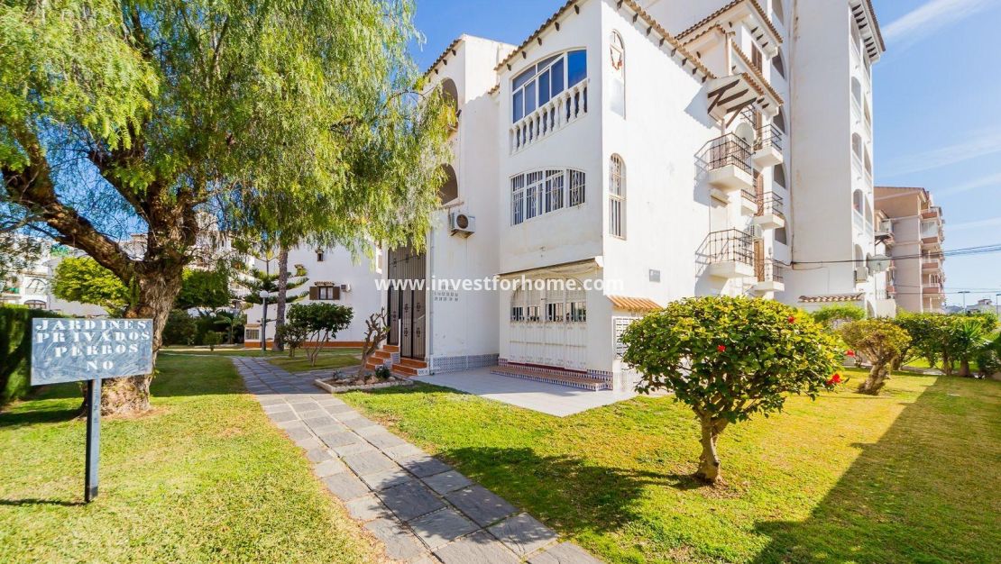 Verkoop - Appartement - Torrevieja - Playa de los Locos