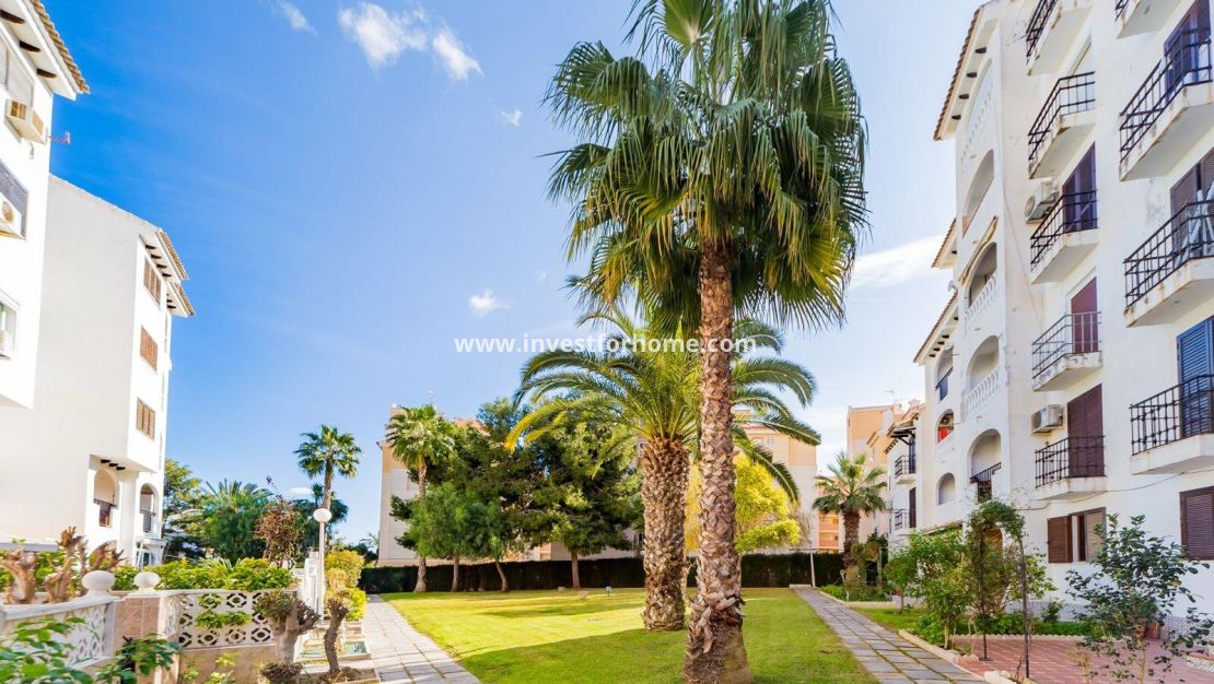 Verkoop - Appartement - Torrevieja - Playa de los Locos