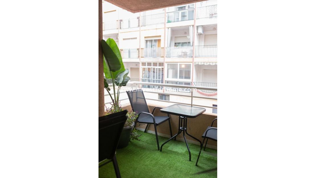 Verkoop - Appartement - Torrevieja - Playa de los Locos