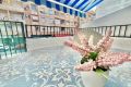 Verkoop - Appartement - Torrevieja - Playa de los Locos