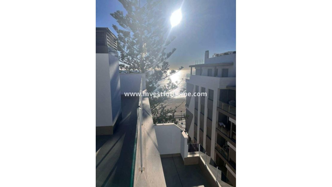 Verkoop - Appartement - Torrevieja - Playa de los Locos