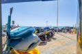 Verkoop - Appartement - Torrevieja - Playa de los Locos