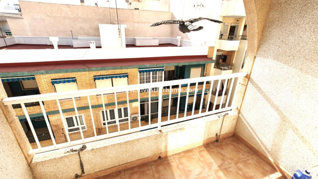 Verkoop - Appartement - Torrevieja - Playa del Cura