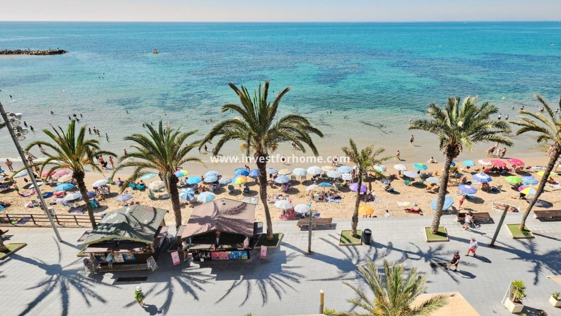 Verkoop - Appartement - Torrevieja - Playa del Cura