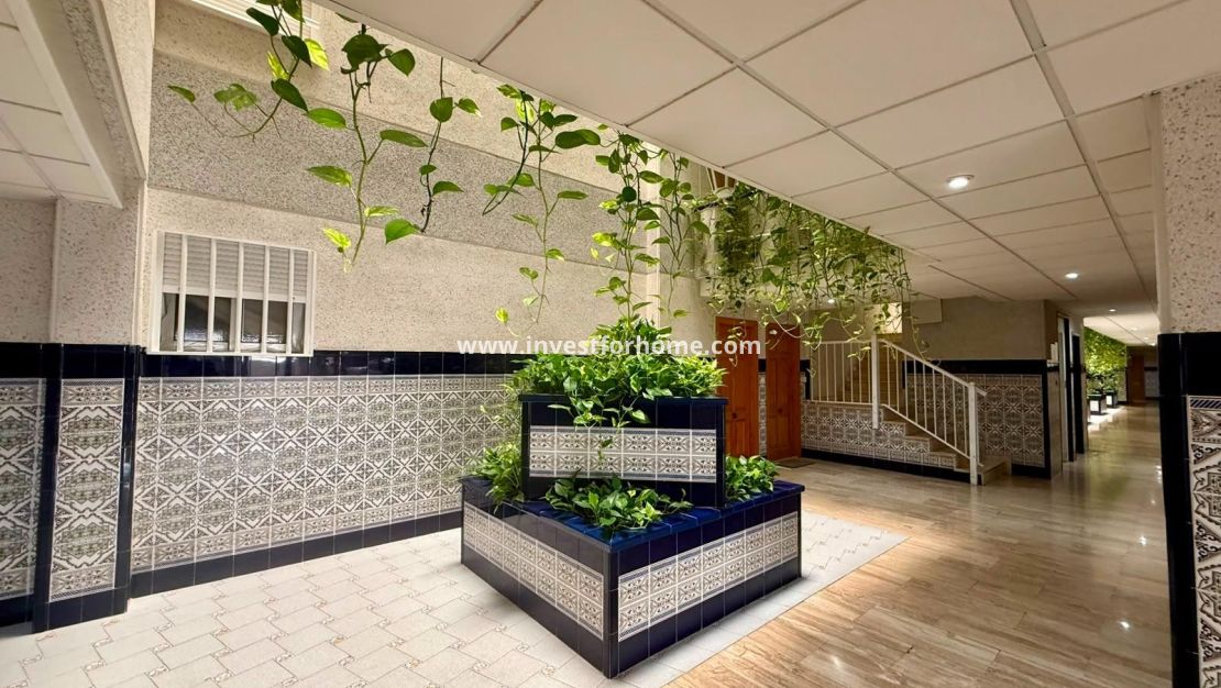 Verkoop - Appartement - Torrevieja - Playa del Cura