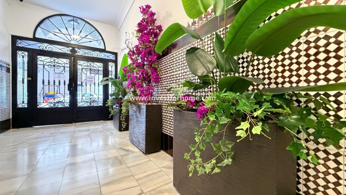 Verkoop - Appartement - Torrevieja - Playa del Cura