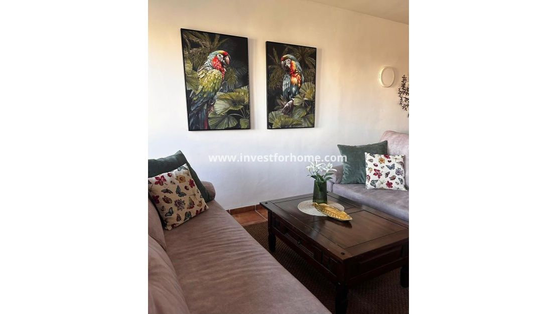 Verkoop - Appartement - Torrevieja - Punta prima