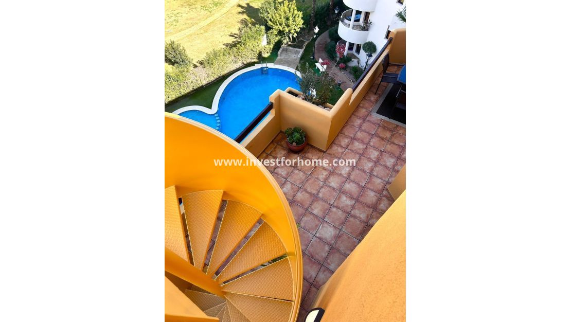 Verkoop - Appartement - Torrevieja - Punta prima