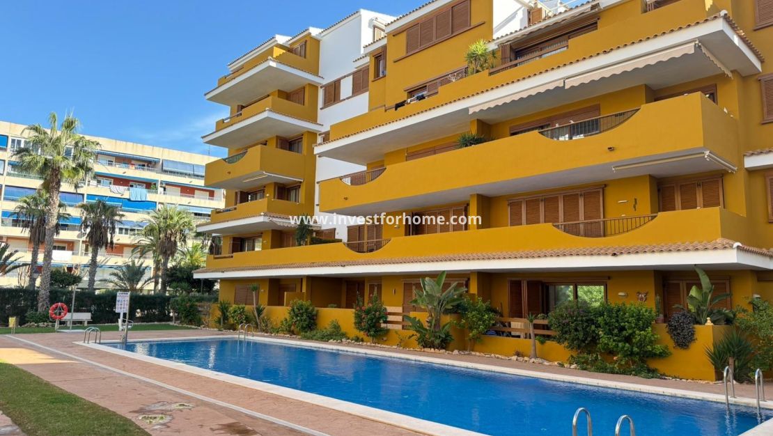 Verkoop - Appartement - Torrevieja - Punta prima