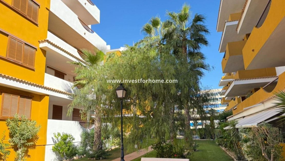 Verkoop - Appartement - Torrevieja - Punta prima