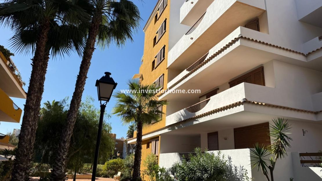 Verkoop - Appartement - Torrevieja - Punta prima