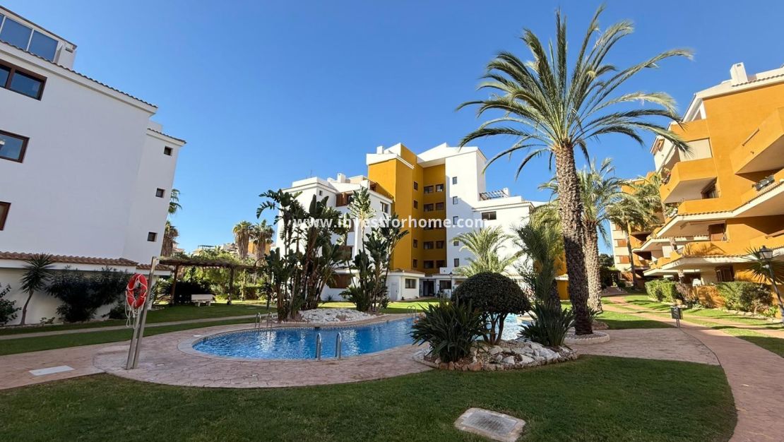 Verkoop - Appartement - Torrevieja - Punta prima