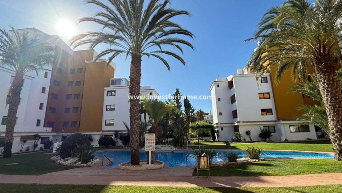 Verkoop - Appartement - Torrevieja - Punta prima