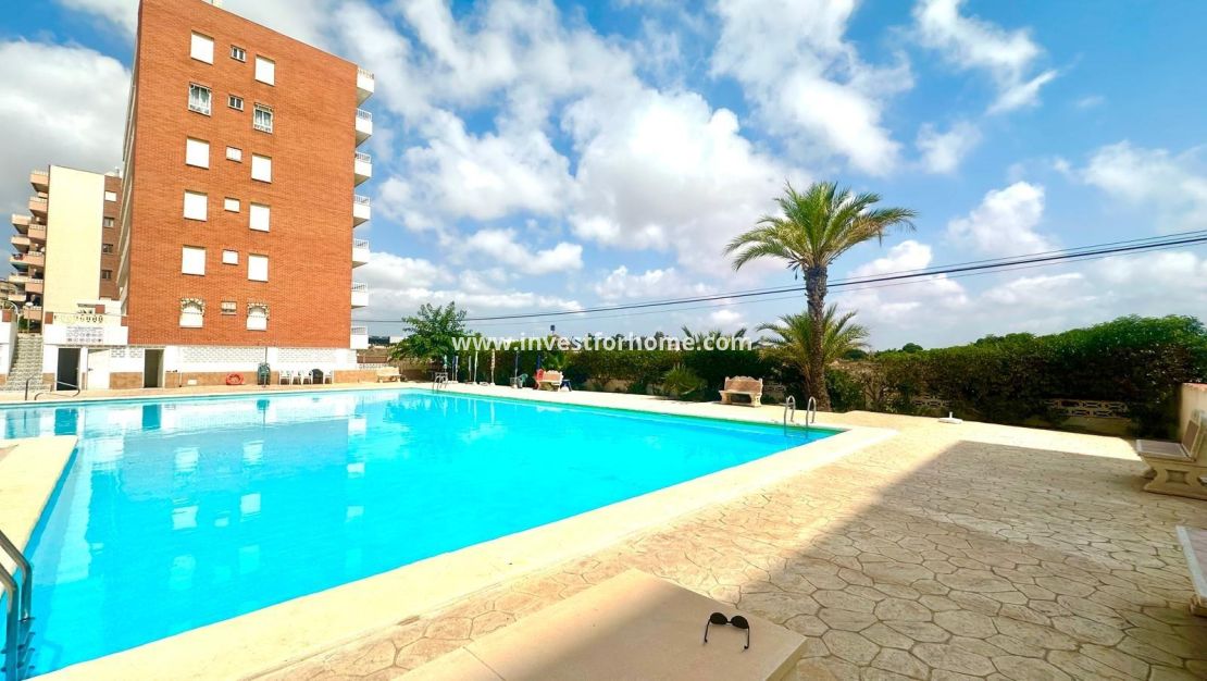 Verkoop - Appartement - Torrevieja - Punta prima