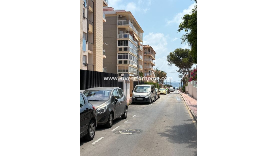 Verkoop - Appartement - Torrevieja - Punta prima