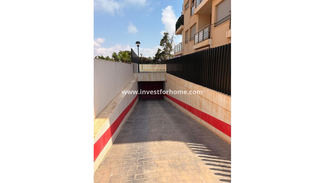 Verkoop - Appartement - Torrevieja - Punta prima