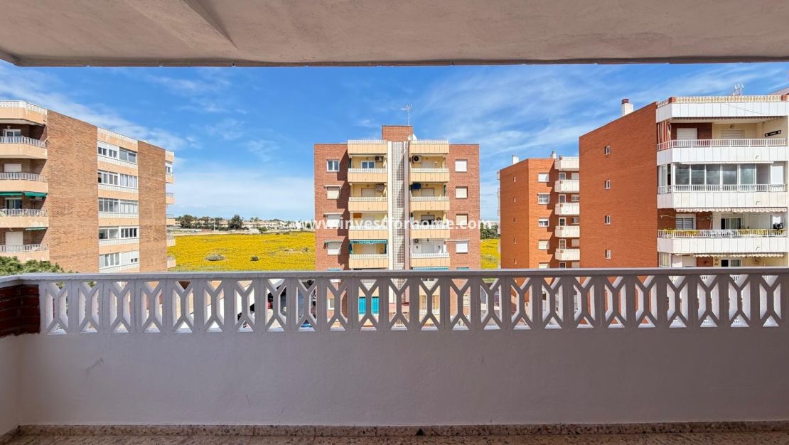 Verkoop - Appartement - Torrevieja - Punta prima
